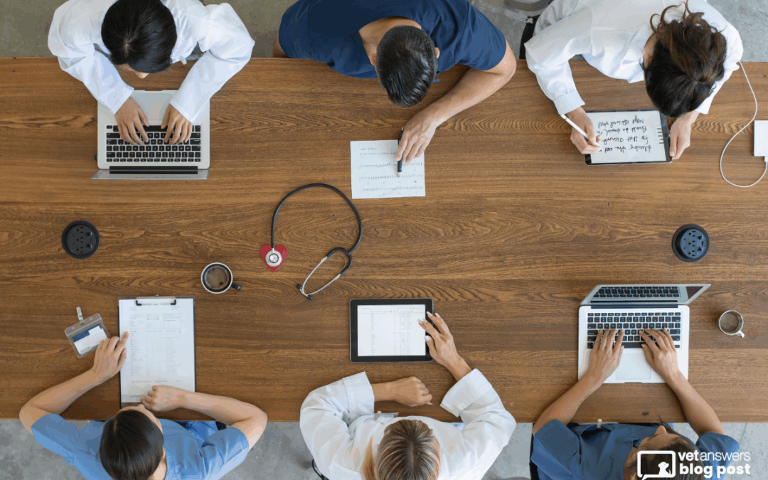 Atomic Habits for Veterinary Practices: How Small Changes Drive Big Results